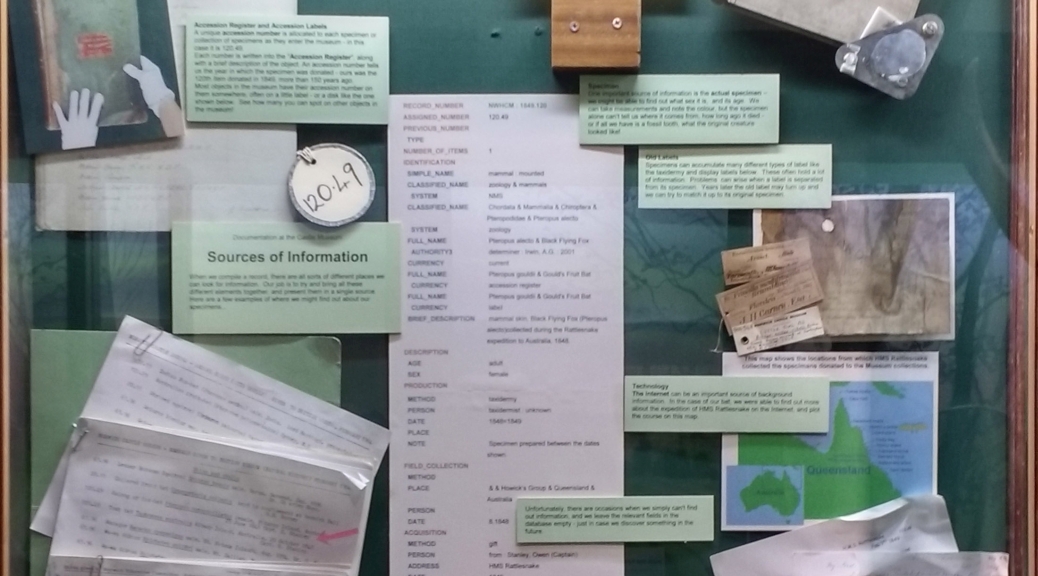 Norwich Castle Museum's documentation display